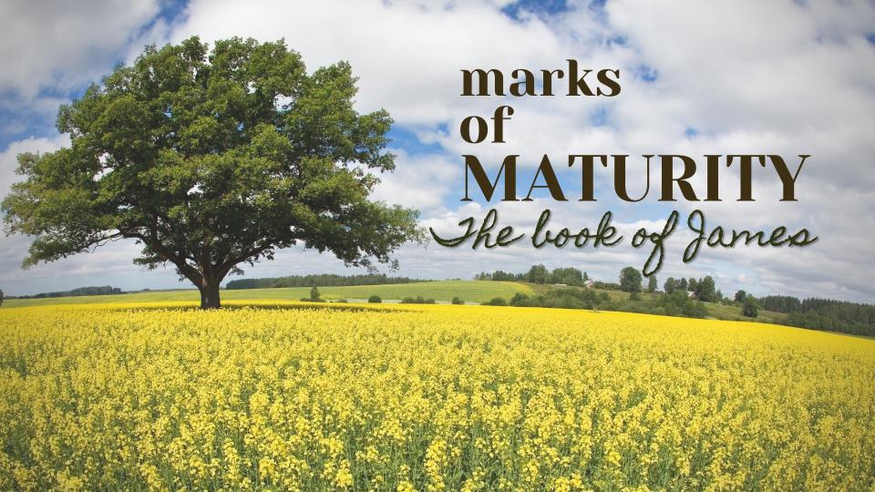 Marks of Maturity